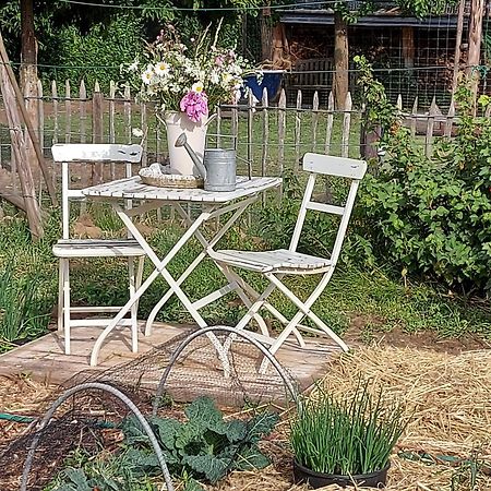 Bed and Breakfast Widdingenhof Wellen Exteriér fotografie